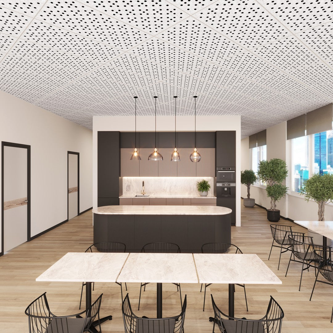 Acoustic Ceiling Tiles | Matrix | QTY 4