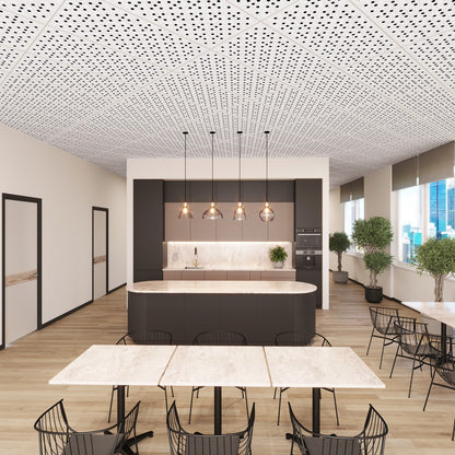 Acoustic Ceiling Tiles | Matrix | QTY 4