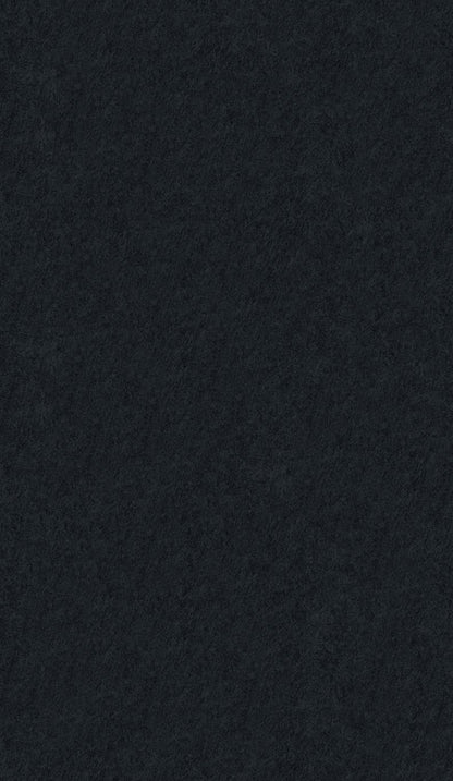 Acoustic Ceiling Tiles – QTY 4 in Black