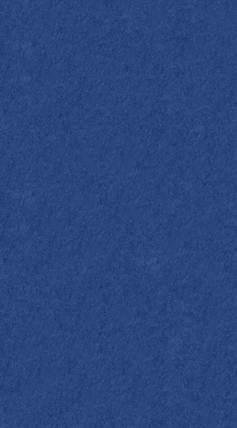 Acoustic Ceiling Tiles – QTY 4 in Blue
