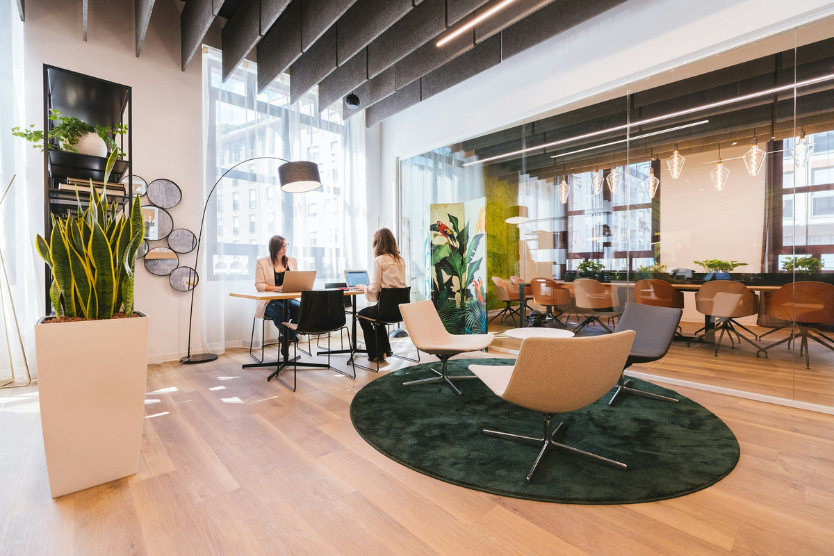 Bright office with acoustic ceiling baffles, plants and timber floors
