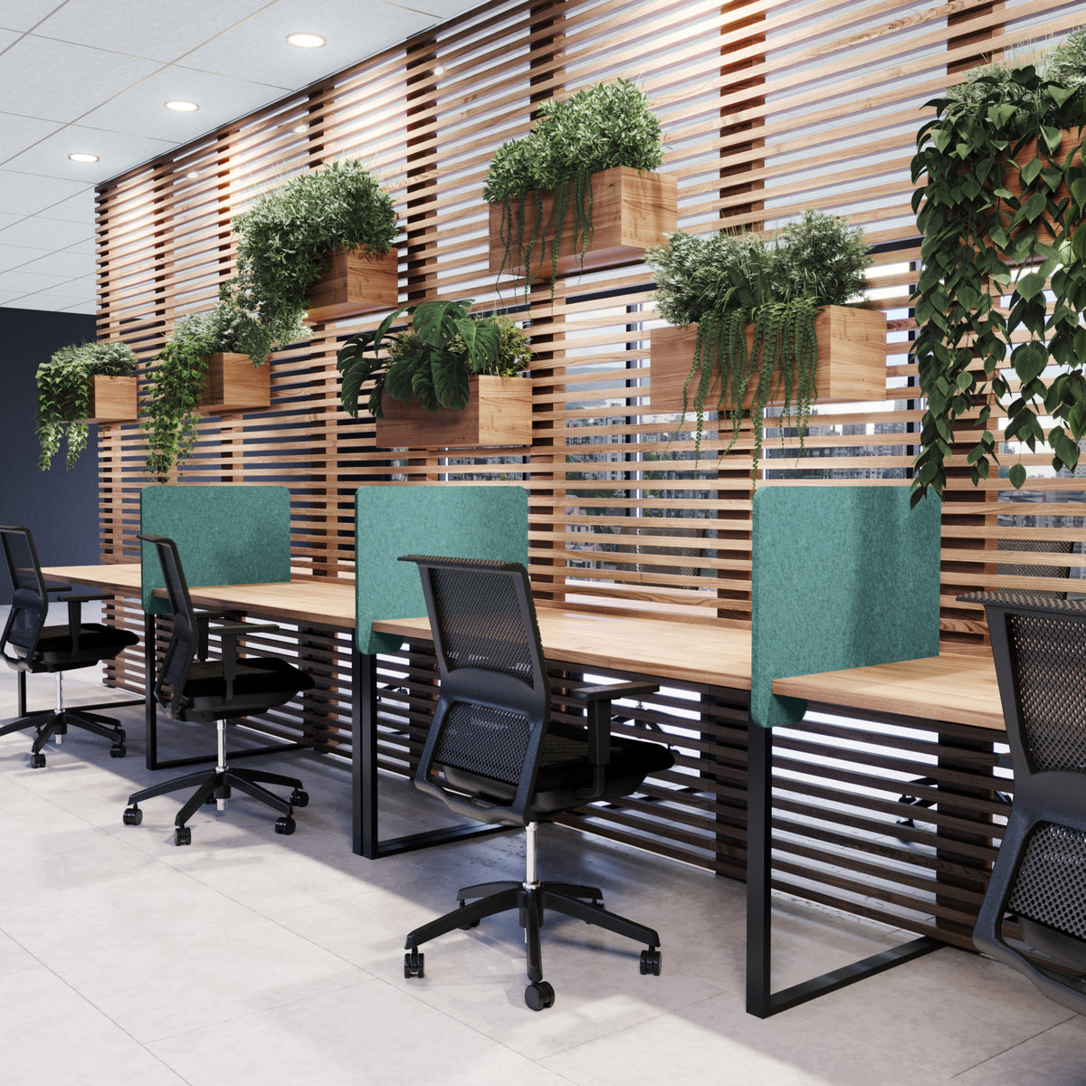 Classroom Desk Dividers