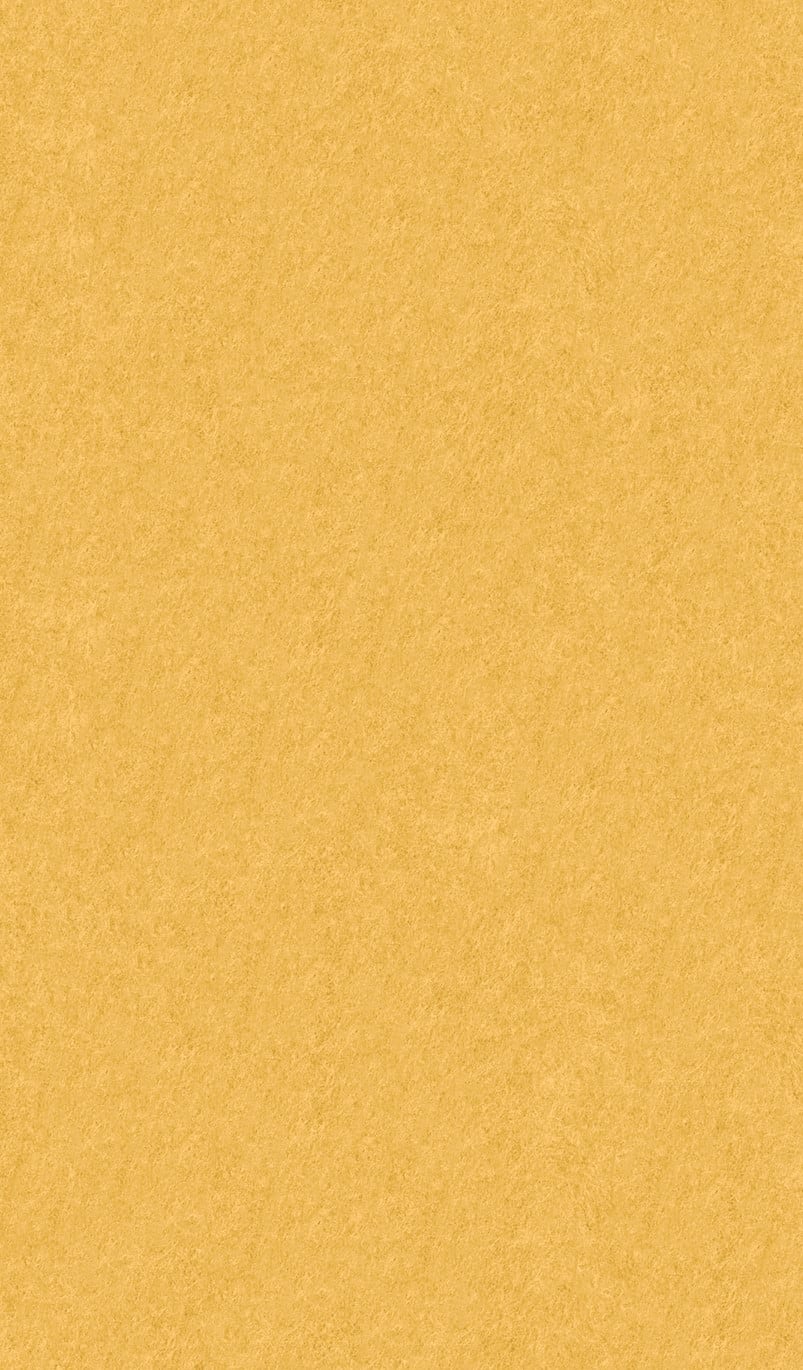 Acoustic Ceiling Tiles – QTY 4 in Yellow